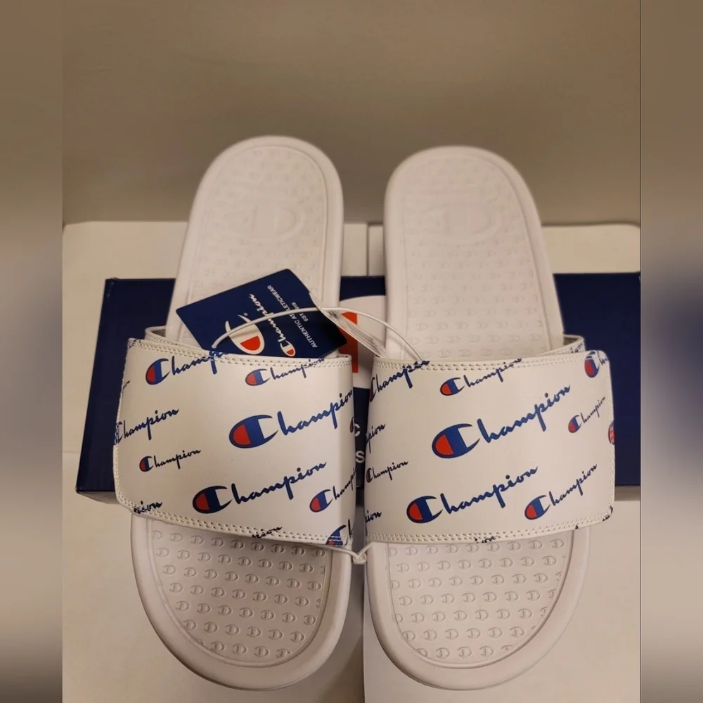 Champions Slides - Picture 2 of 6